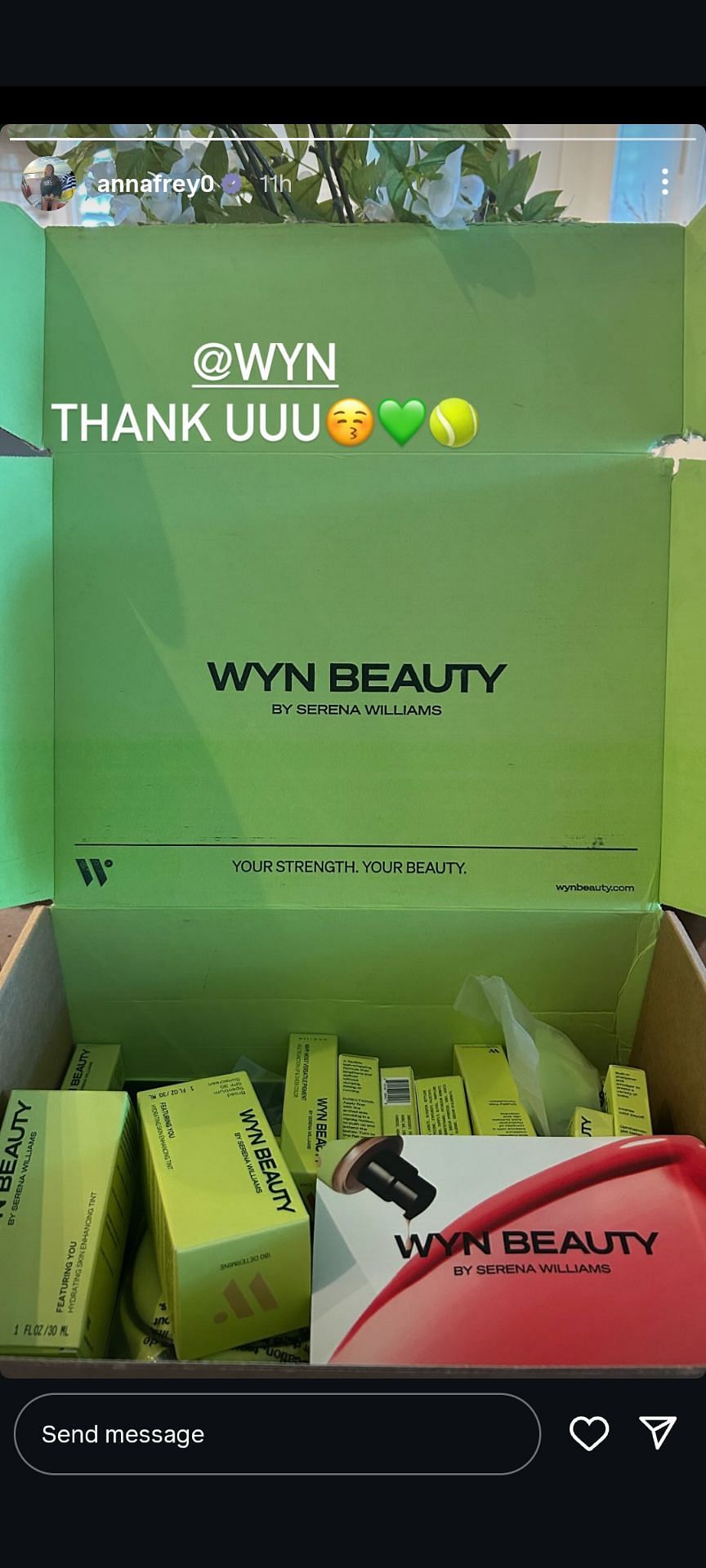 Anna Frey's Instagram Story featuring the presents she received from Williams' WYN BEAUTY (Source: Instagram/annafrey0)